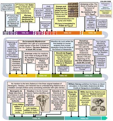 The Epic of the Thalamus in Anatomical Language